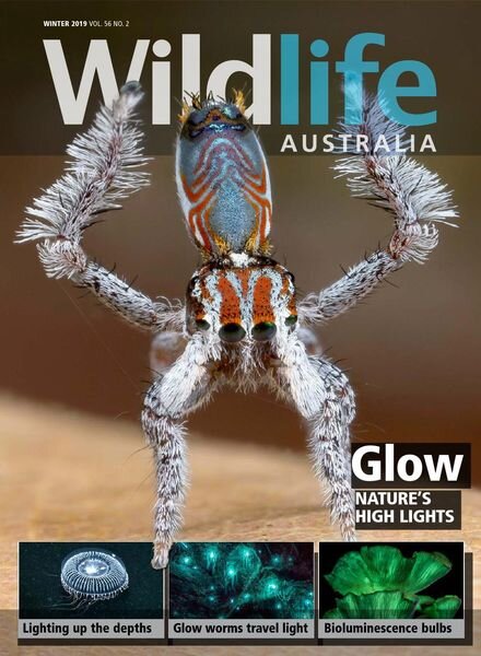 Wildlife Australia – Volume 56 N 2 – Winter 2019 Cover