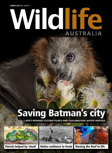 Wildlife Australia – Volume 56 N 3 – Spring 2019 Cover