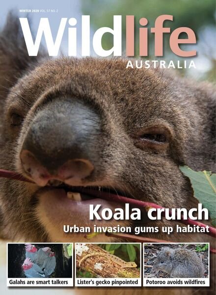 Wildlife Australia – Volume 57 N 2 – Winter 2020 Cover