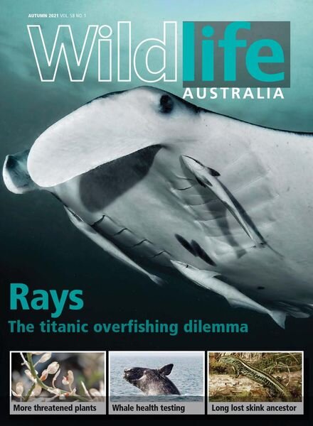 Wildlife Australia – Volume 58 N 1 – Autumn 2021 Cover