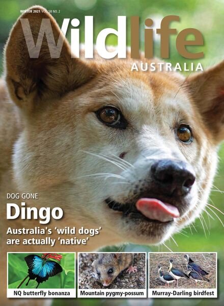 Wildlife Australia – Volume 58 N 2 – Winter 2021 Cover