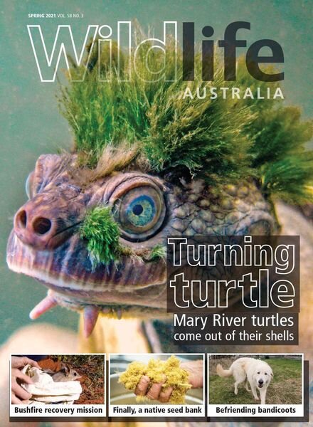 Wildlife Australia – Volume 58 N 3 – Spring 2021 Cover