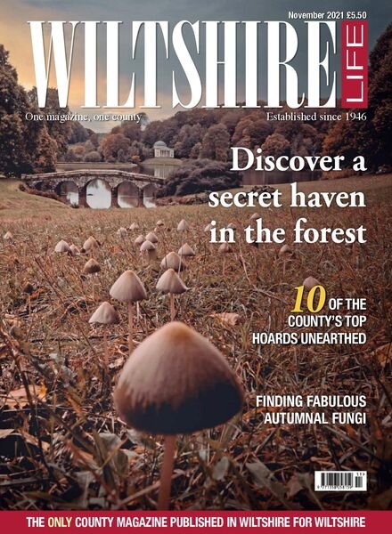 Wiltshire Life – November 2021 Cover