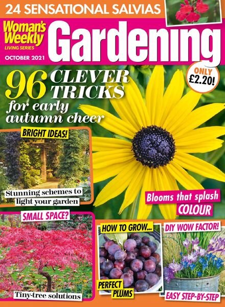 Woman’s Weekly Living Series – October 2021 Cover