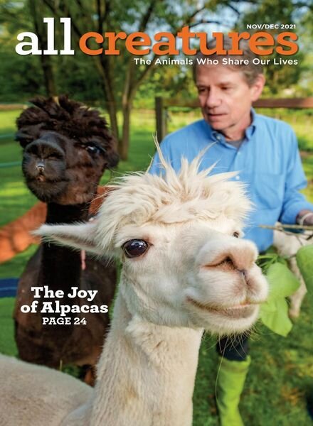 All Creatures – November 2021 Cover