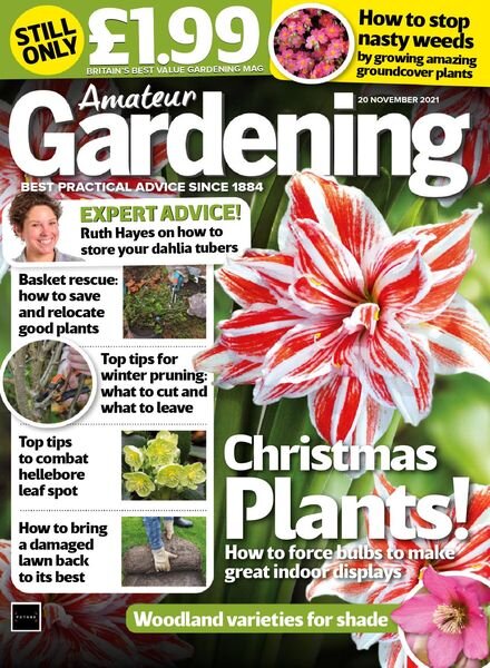 Amateur Gardening – 20 November 2021 Cover