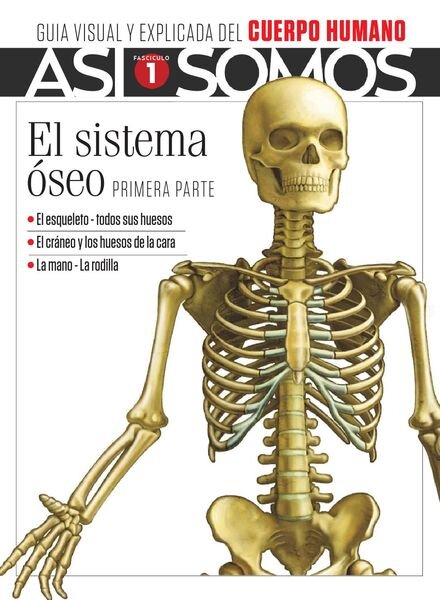 Asi Somos – El cuerpo humano – marzo 2021 Cover
