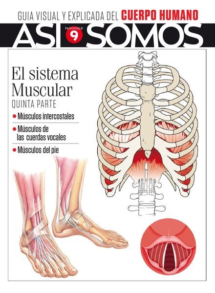 Asi Somos – El cuerpo humano – noviembre 2021 Cover