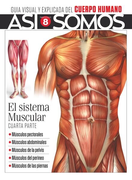 Asi Somos – El cuerpo humano – octubre 2021 Cover