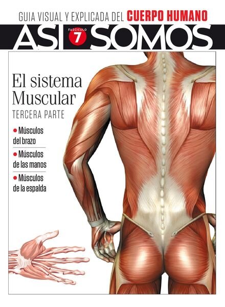 Asi Somos – El cuerpo humano – septiembre 2021 Cover
