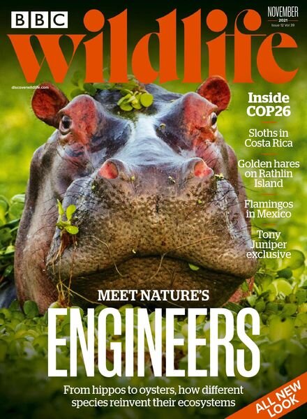 BBC Wildlife – November 2021 Cover