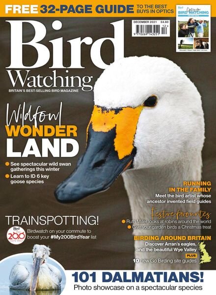Bird Watching UK – December 2021 Cover