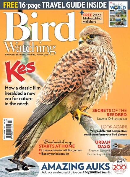Bird Watching UK – November 2021 Cover