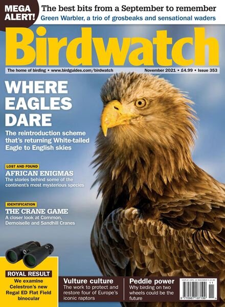 Birdwatch UK – November 2021 Cover