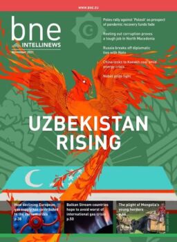 bne IntelliNews – November 2021