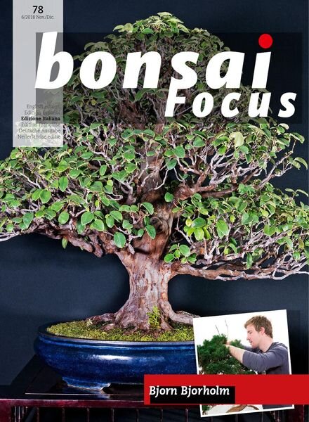 Bonsai Focus (Italian Edition) – N 78 – Novembre-Dicembre 2018 Cover