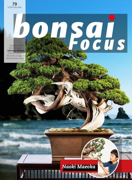 Bonsai Focus (Italian Edition) – N 79 – Gennaio-Febbraio 2019 Cover