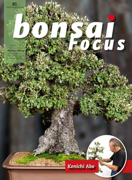 Bonsai Focus (Italian Edition) – N 81 – Maggio-Giugno 2019 Cover