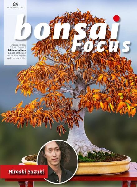 Bonsai Focus (Italian Edition) – N 84 – Novembre-Dicembre 2019 Cover