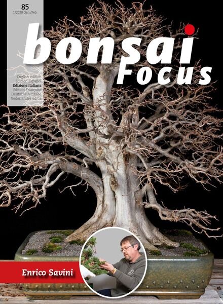 Bonsai Focus (Italian Edition) N 85 – Gennaio-Febbraio 2020 Cover