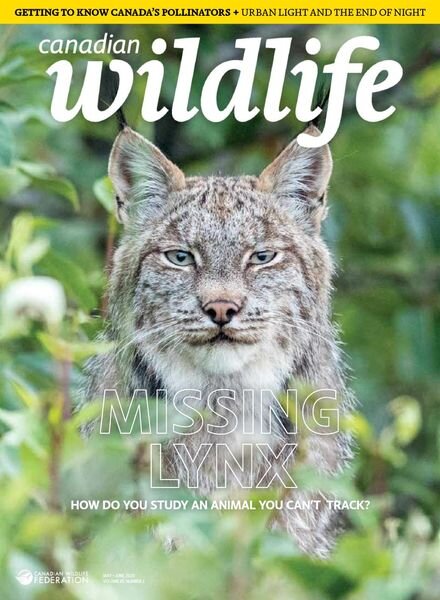 Canadian Wildlife – May-June 2020 Cover