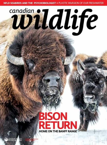 Canadian Wildlife – November-December 2019 Cover
