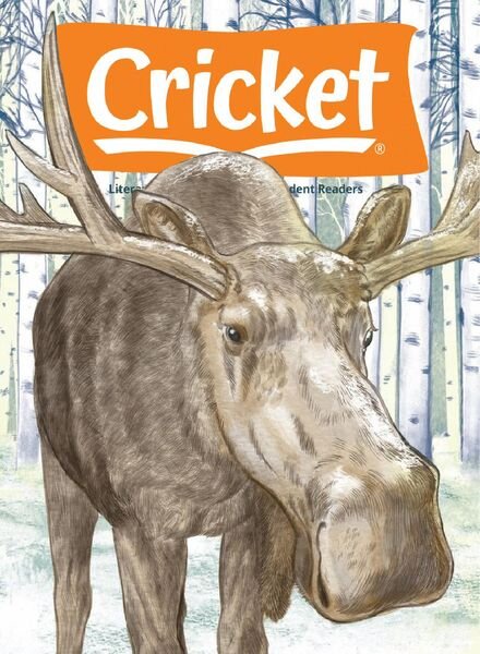 Cricket – November 2021 Cover