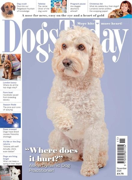 Dogs Today UK – November 2021 Cover