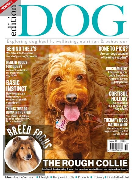 Edition Dog – Issue 37 – October 2021 Cover
