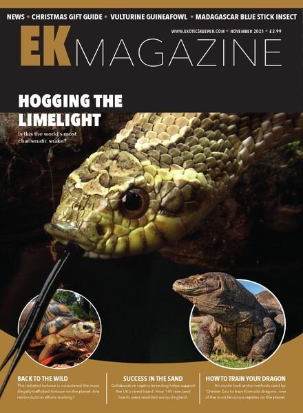 Exotics Keeper – November 2021 Cover