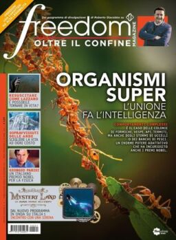Freedom – Oltre il confine – novembre 2021