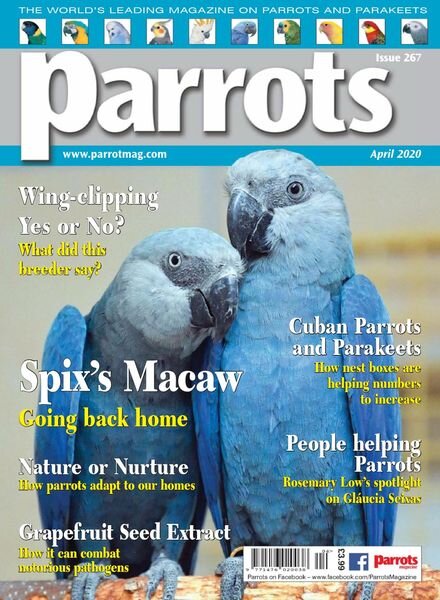 Parrots – April 2020 Cover