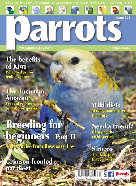 Parrots – August 2020 Cover