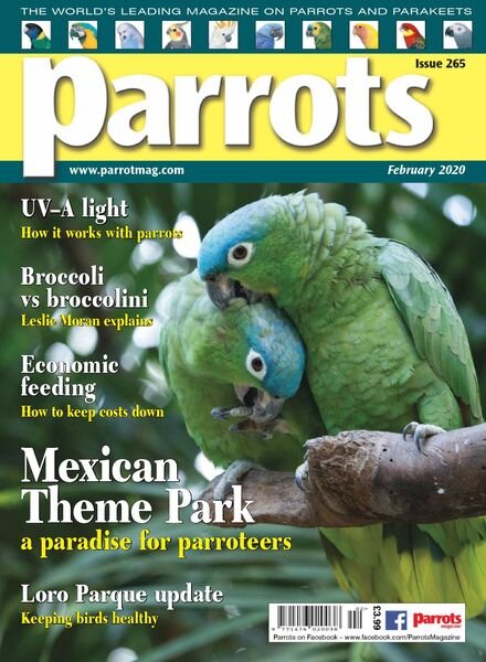 Parrots – February 2020 Cover