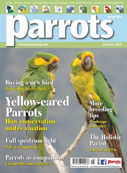 Parrots – January 2020 Cover