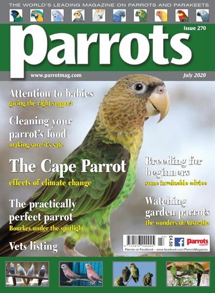 Parrots – July 2020 Cover