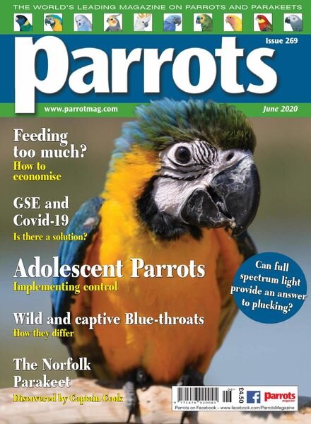 Parrots – June 2020 Cover