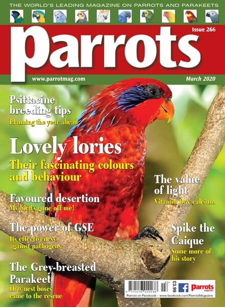 Parrots – March 2020 Cover