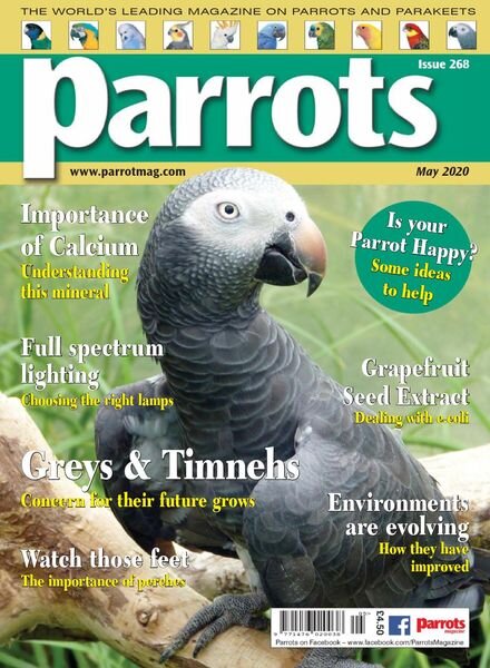 Parrots – May 2020 Cover