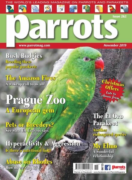 Parrots – November 2019 Cover