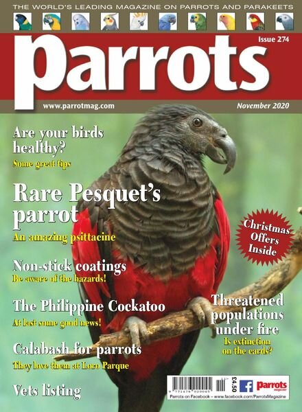 Parrots – November 2020 Cover