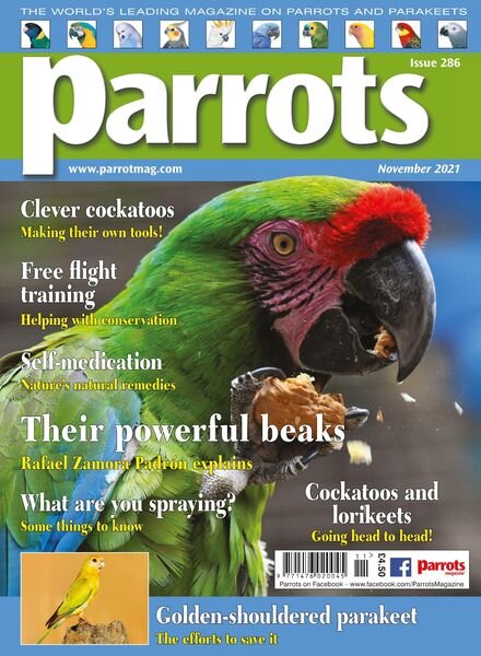 Parrots – November 2021 Cover