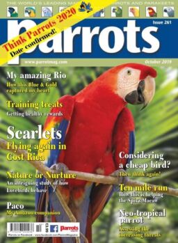 Parrots – October 2019