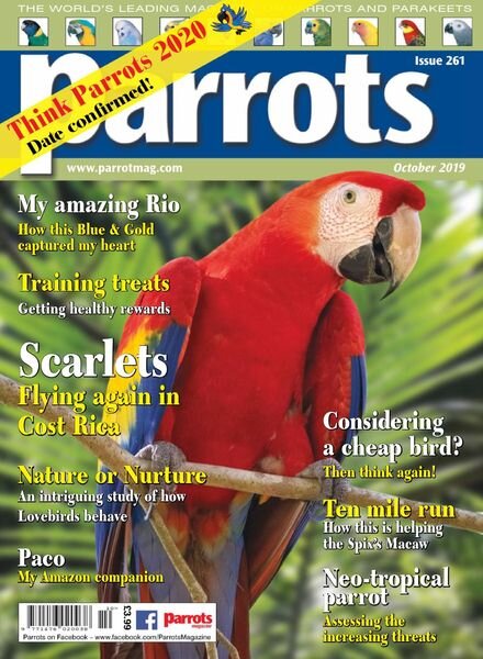 Parrots – October 2019 Cover