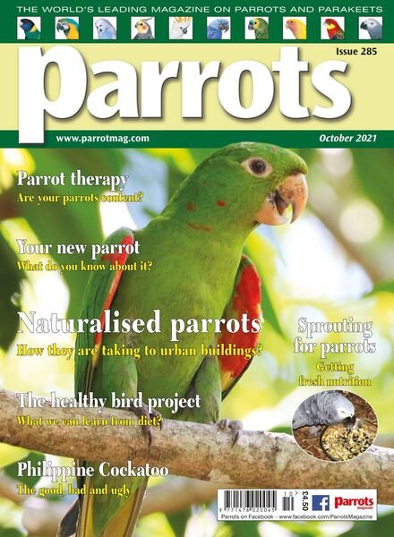 Parrots – October 2021 Cover