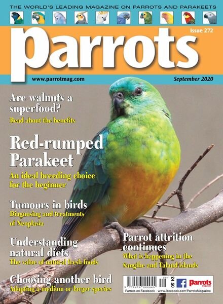 Parrots – September 2020 Cover
