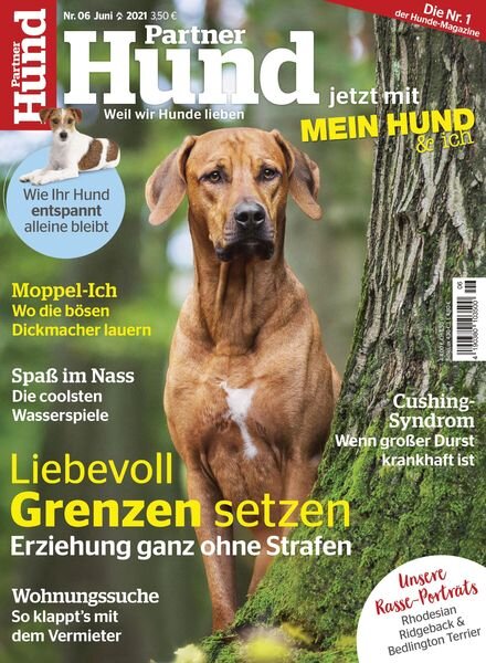 Partner Hund Extra – 05 Mai 2021 Cover