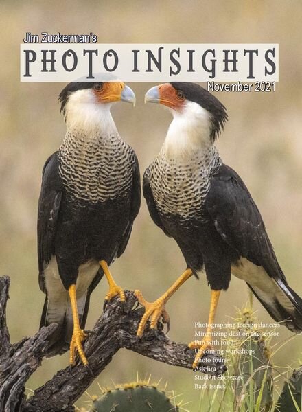 Photo Insights – November 2021 Cover