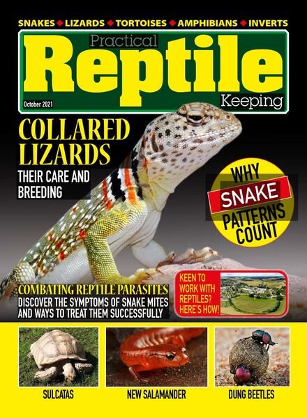 Practical Reptile Keeping – October 2021 Cover