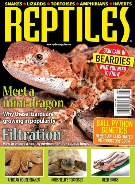 Reptiles – July-August 2020 Cover